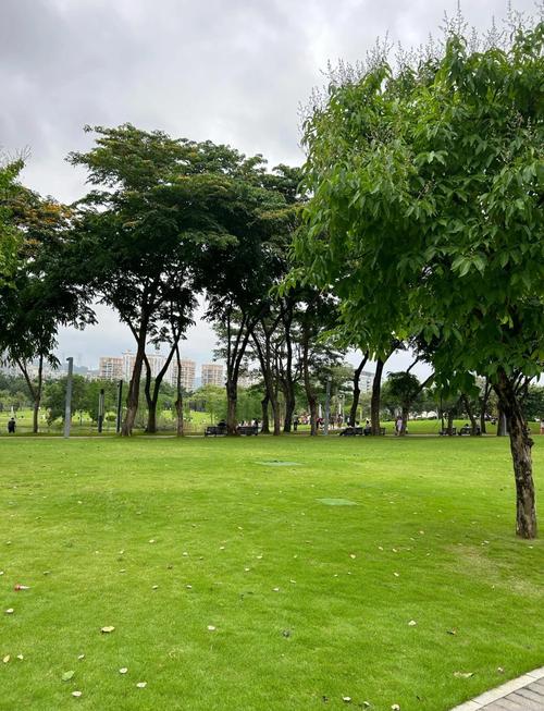 深圳适合老人去的旅游景点