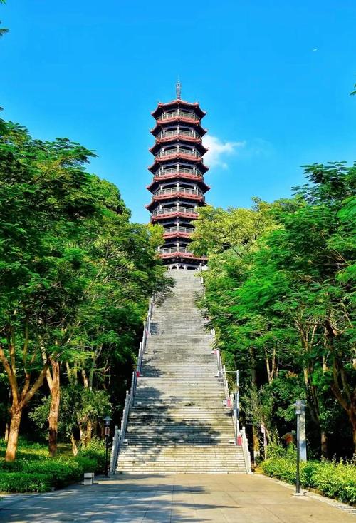 深圳适合老人去的旅游景点