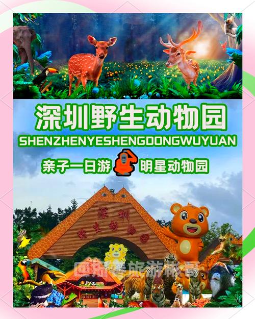 深圳野生动物园夜场攻略
