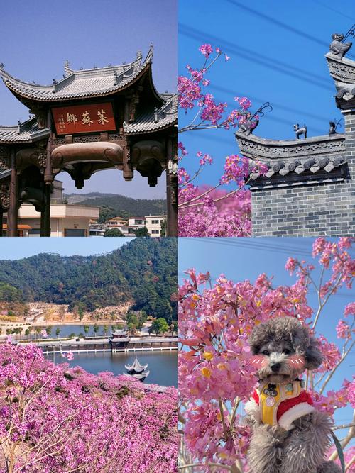 江门鹤山旅游景点哪里好玩