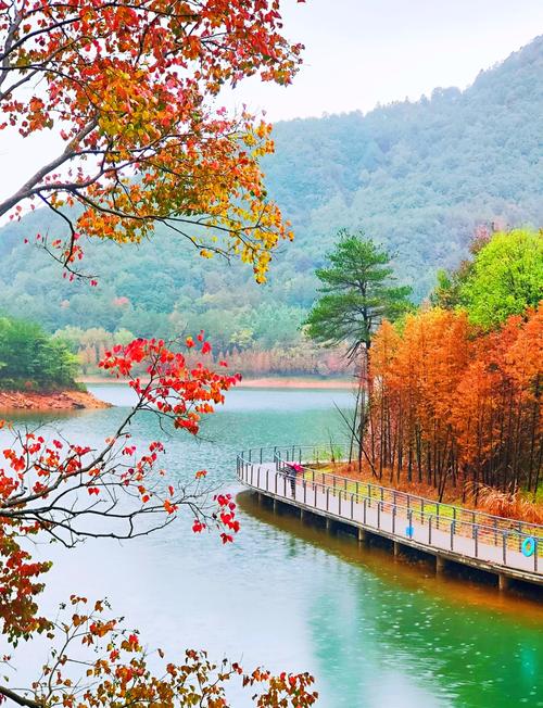 浙江义乌附近旅游景点大全