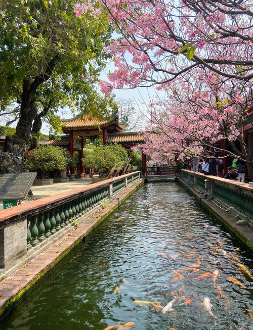 番禺周边免费旅游景点大全