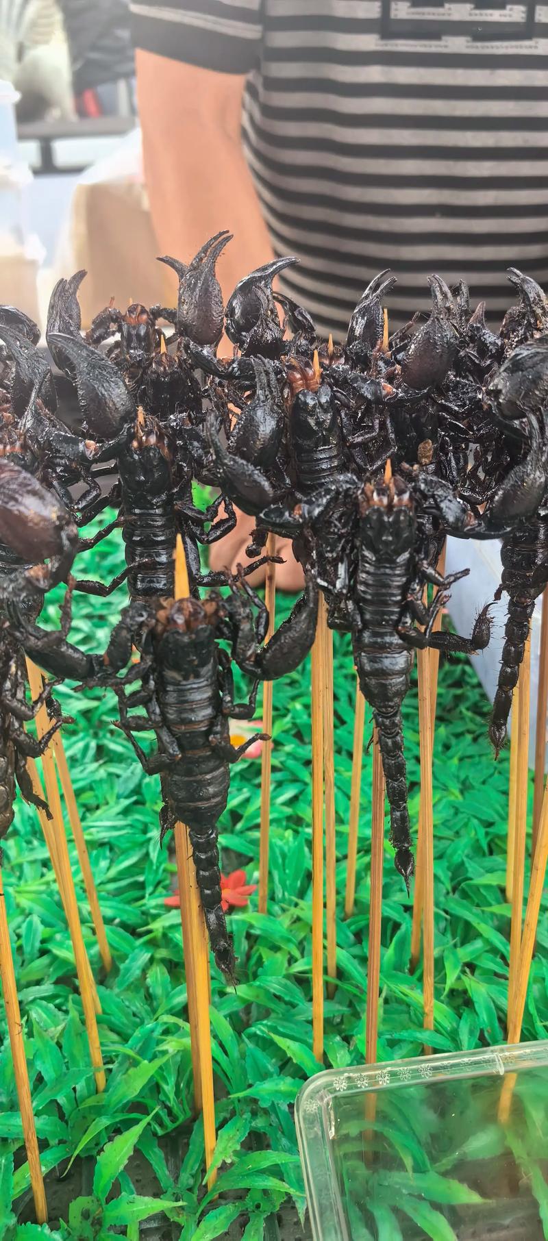 云南特色虫子美食图片