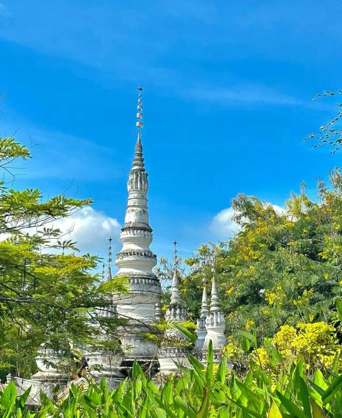 冬天西双版纳旅游景点大全