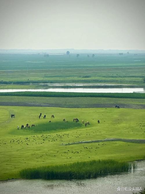杜尔伯特旅游景点都有哪些