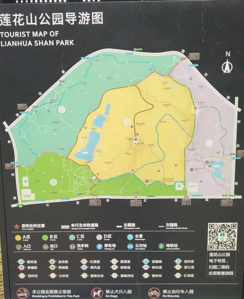 深圳莲花山公园游玩攻略