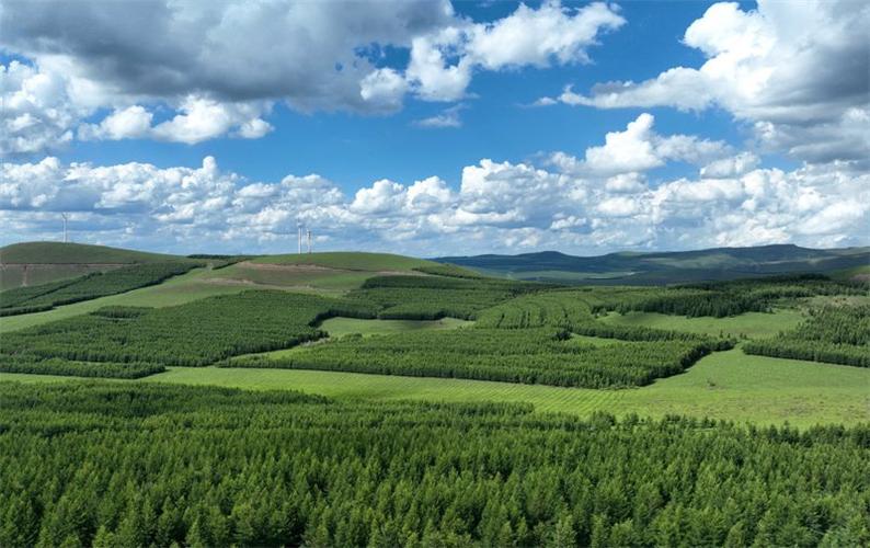 河南蒙古族自治县旅游景点