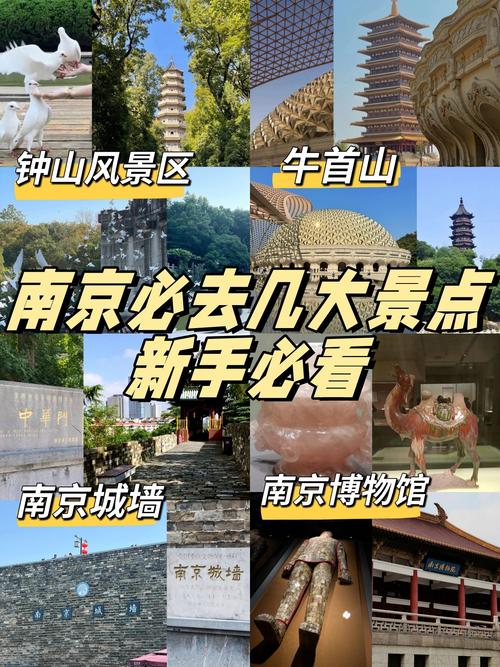 南京适合孩子去的旅游景点