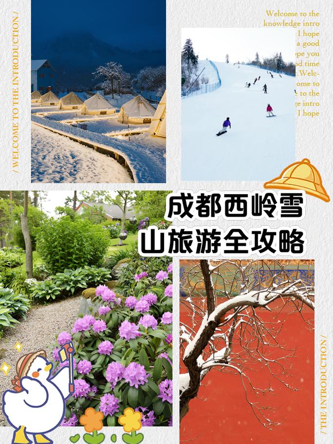 西岭雪山夏季旅游攻略