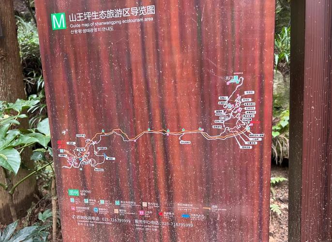 重庆南川山王坪 攻略