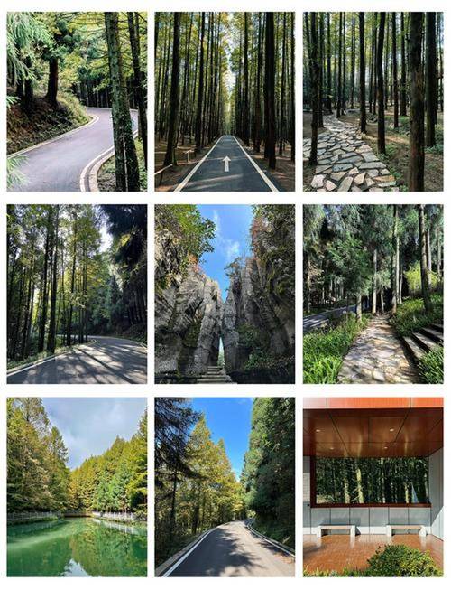 重庆南川山王坪 攻略