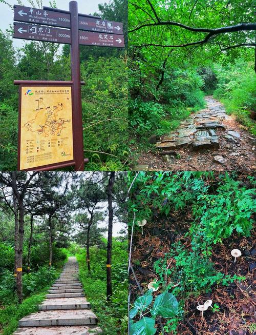 杭州西山森林公园攻略