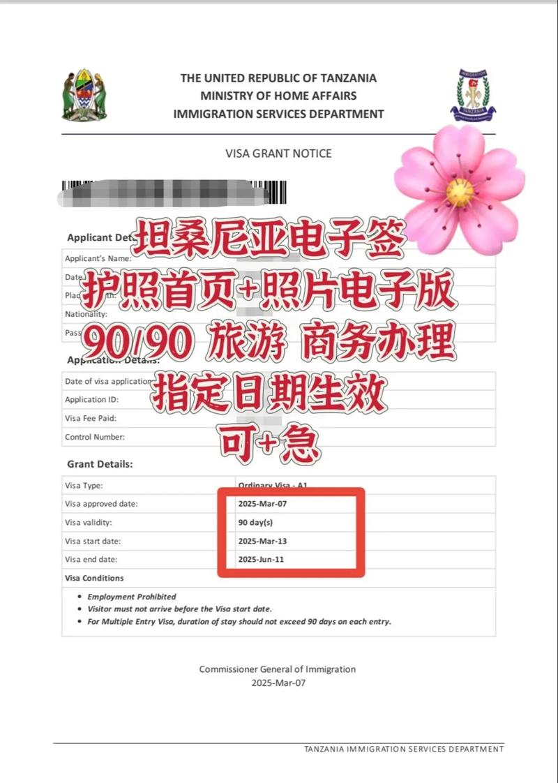 坦桑尼亚电子签证攻略