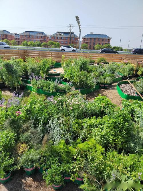 起源的大地园艺展攻略