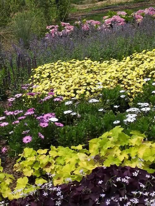 起源的大地园艺展攻略