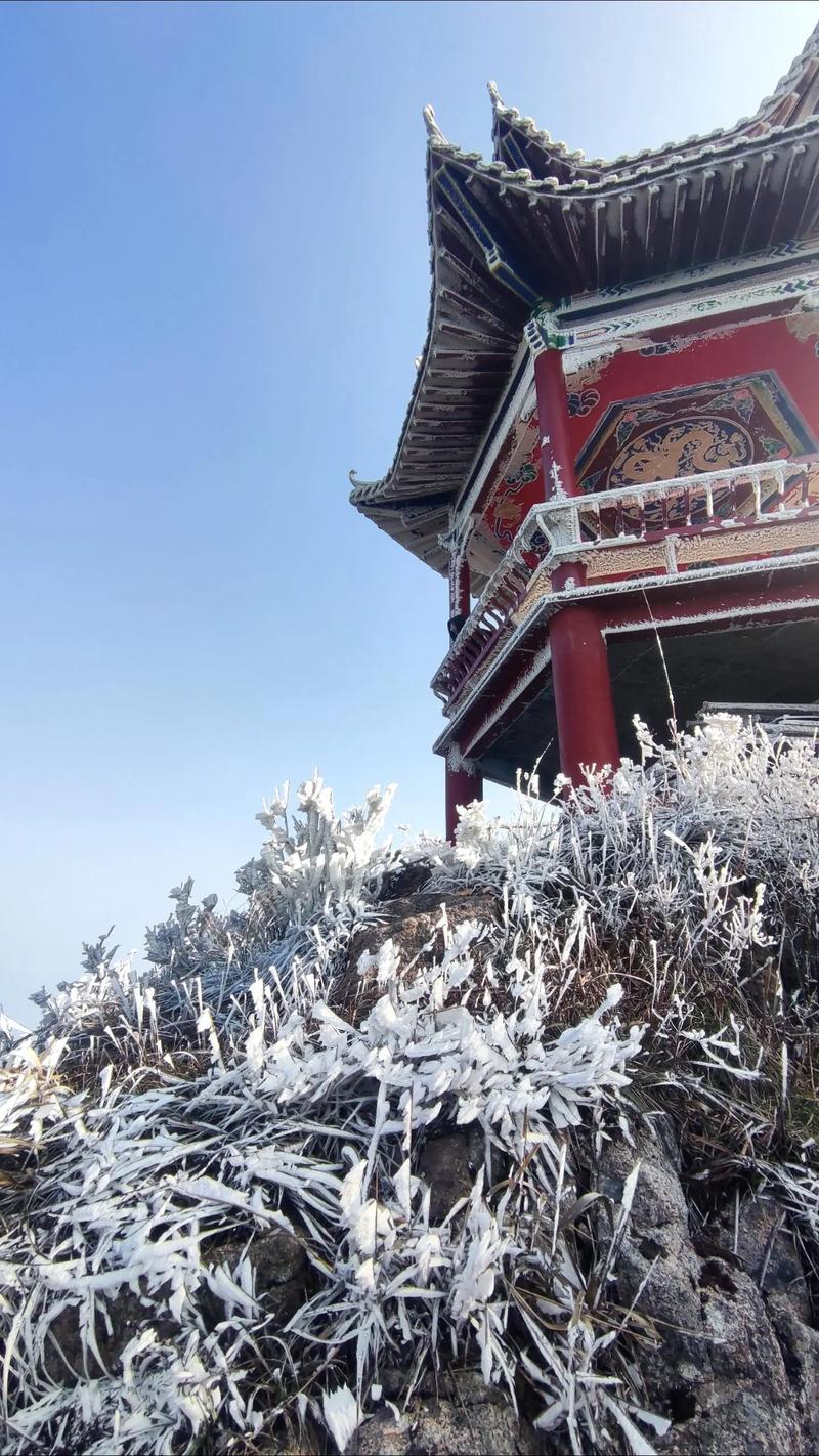 清远金子山的旅游攻略