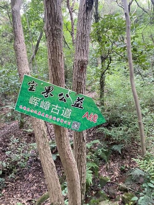 宝界山林公园游玩攻略