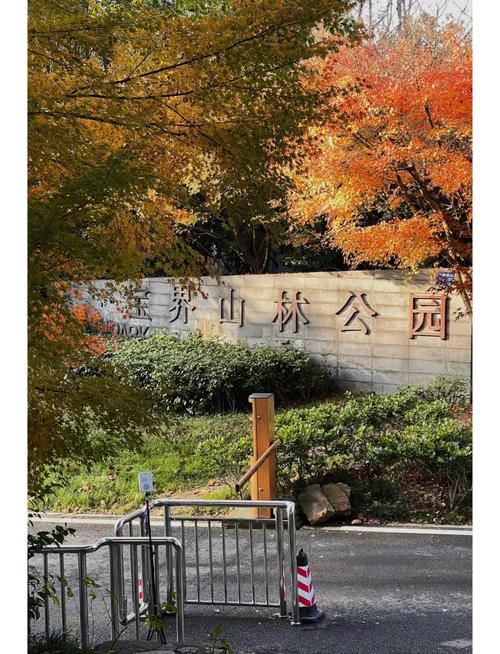 宝界山林公园游玩攻略