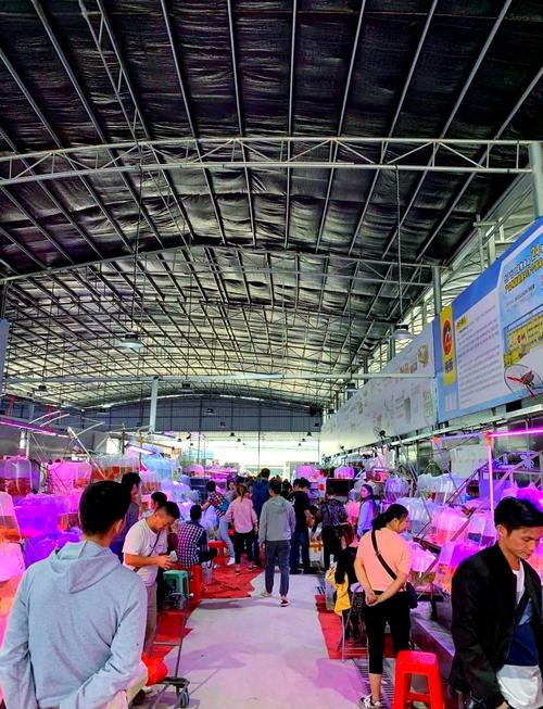 芳村花鸟鱼虫市场攻略