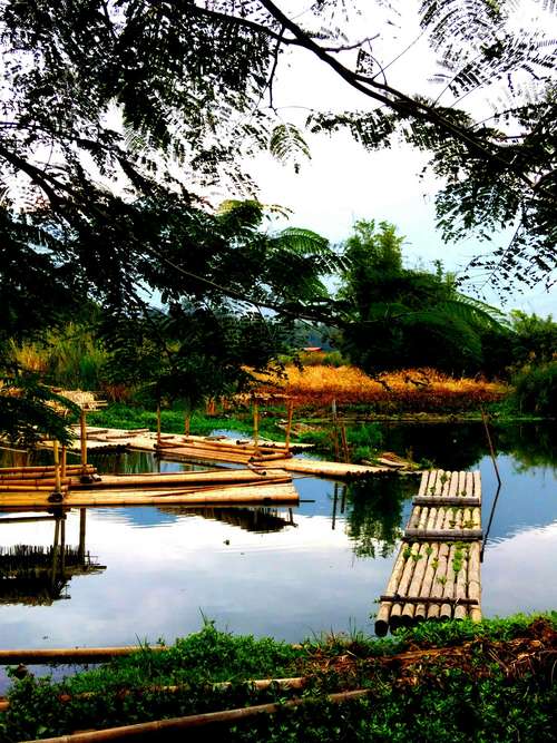 盈江旅游攻略必去景点