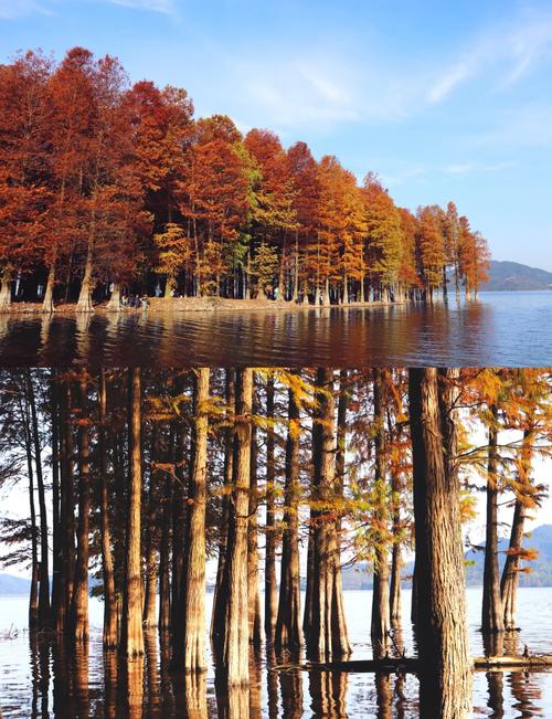 宁波四明山旅游景点有哪些