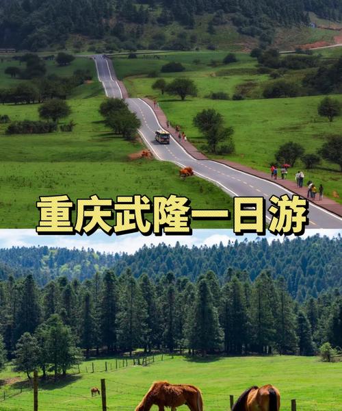 2025武隆旅游攻略