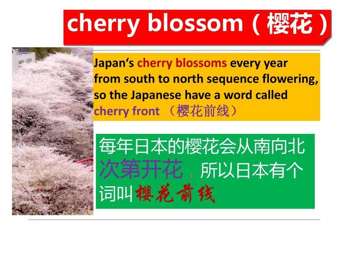 日本的旅游景点英文介绍