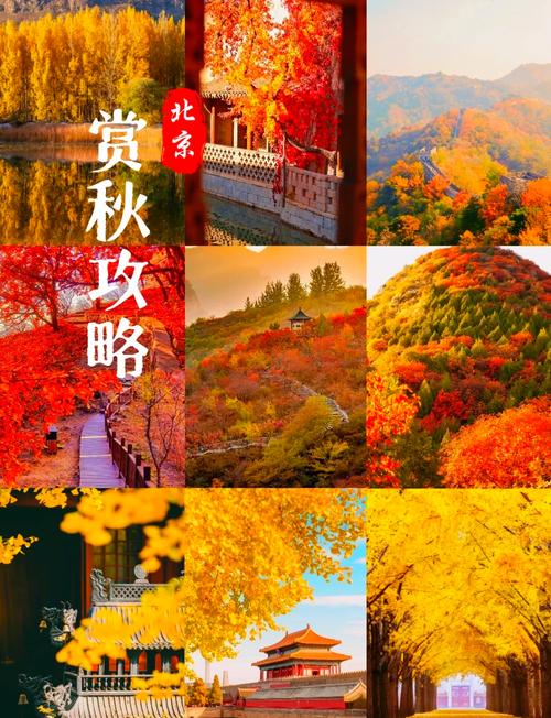11月初北京旅游攻略