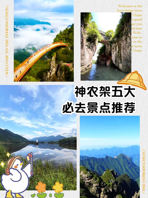 自驾去神农架旅游攻略