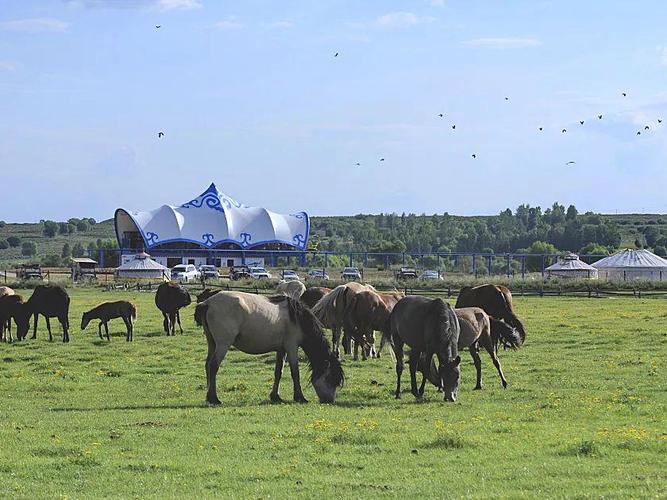苏泊罕大草原游玩攻略
