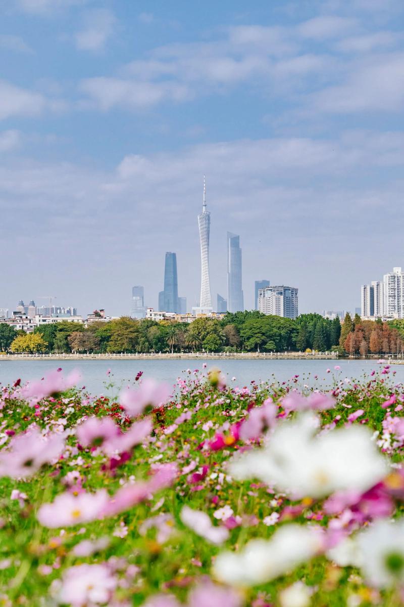 广州哪里有花海旅游景点