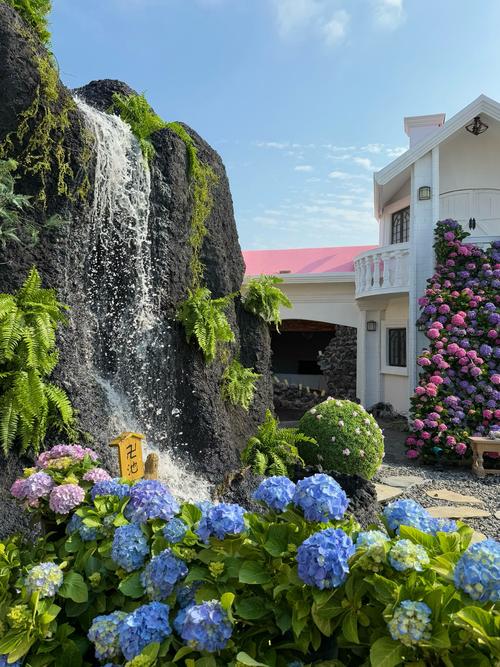 深圳哪里有花海旅游景点