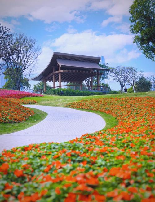 深圳哪里有花海旅游景点