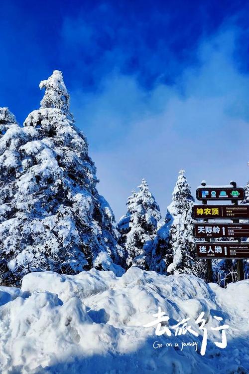 冬天去神农架旅游攻略