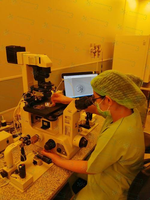 泰国试管婴儿自助攻略