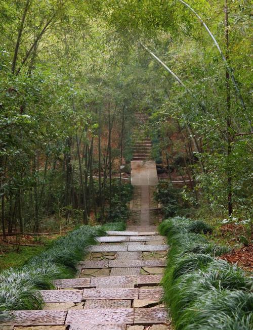 半山森林公园旅游攻略