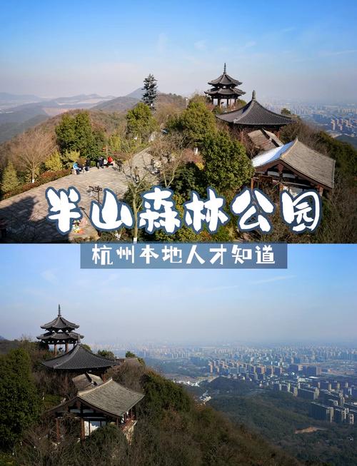 半山森林公园旅游攻略