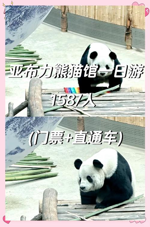 亚布力熊猫馆游玩攻略