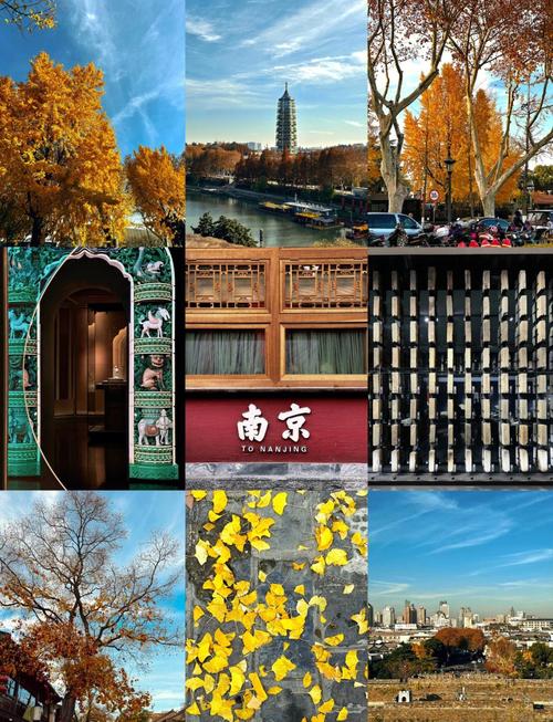 南京十大旅游景点排名榜