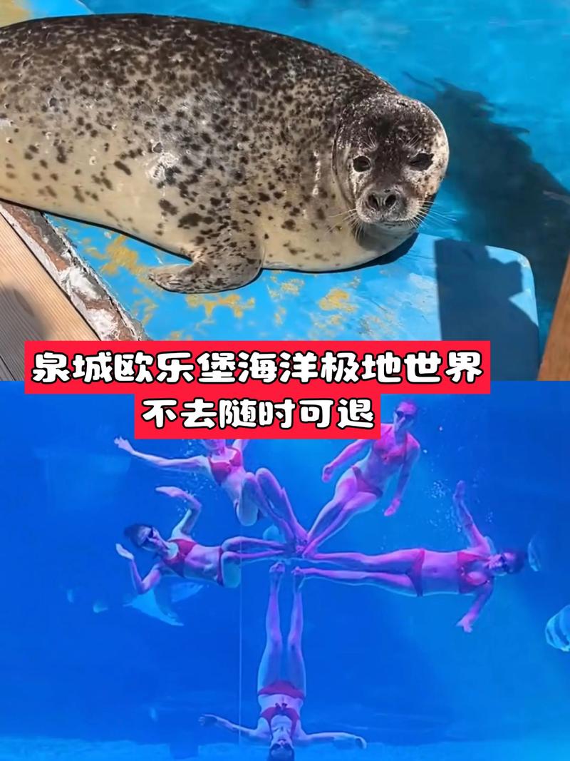 济南极地海洋世界攻略