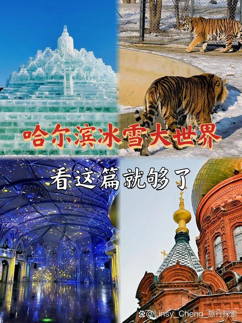 哈尔滨看冰雕旅游攻略