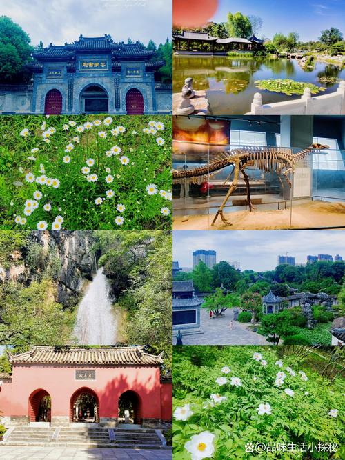 南阳年卡旅游景点有哪些