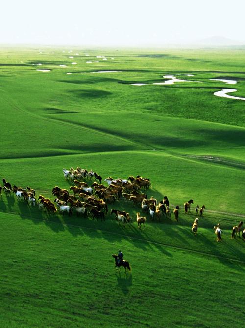 锡林郭勒盟十大旅游景点