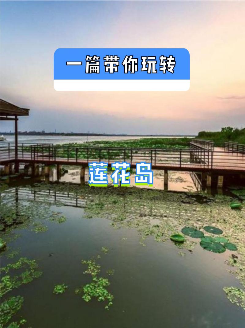 桂林莲花岛一日游攻略