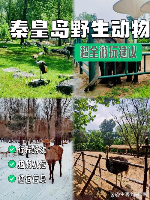 北戴河野生动物园攻略