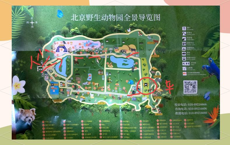 北戴河野生动物园攻略