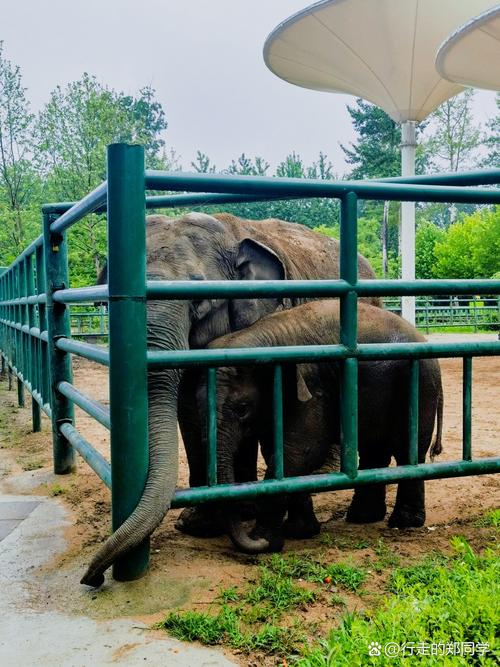 北戴河野生动物园攻略