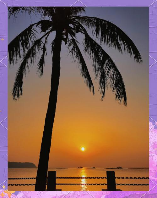 东平大澳渔村游玩攻略