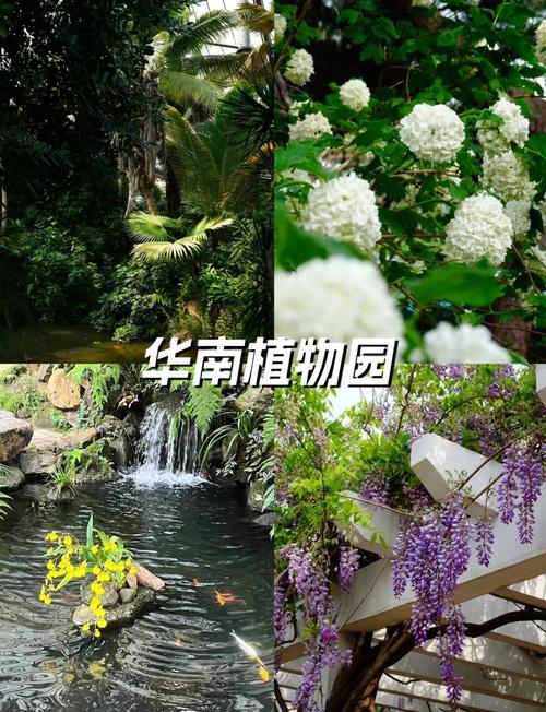 深圳广州旅游景点大全