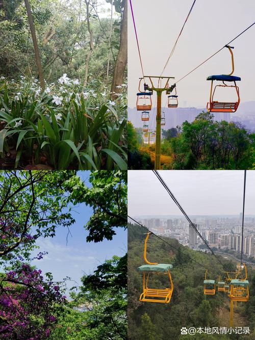 南充旅游攻略景点必去